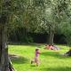 ../FR/images/edito/nice-news-5141.jpg