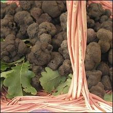 Marché de la Truffe à GRASSE, près de Nice, Chibois Bastide Saint Antoine 