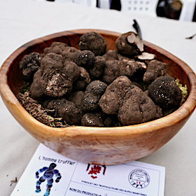 Truffes Marché Le Rouret sq