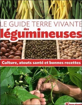 guide-légumineuses-sq