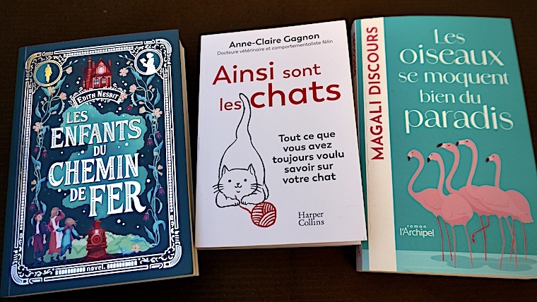 Pour Noël, quelques Livres pour les Adultes et les Enfants à mettre au pied du Sapin